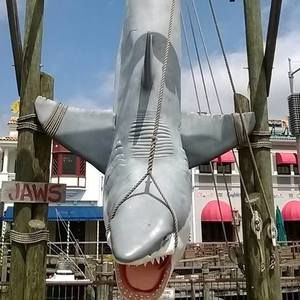 Meet your Posher, Derrick